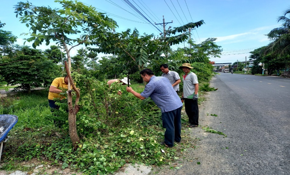 Hội Nông dân ra quân phát quang cây xanh